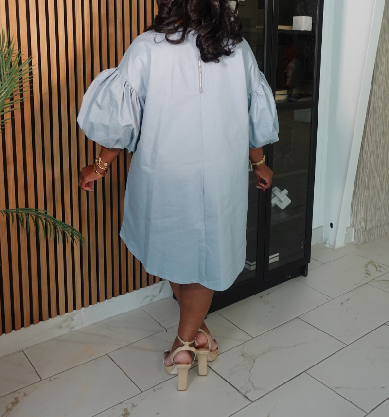 Back Talk Denim Dress